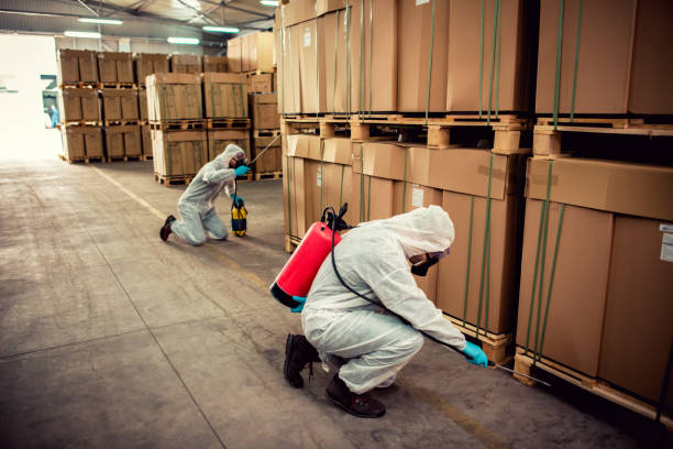 Best Affordable Pest Control Services  in Gridley, CA