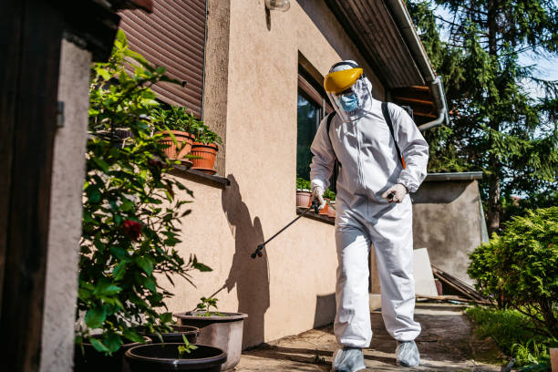Best Mosquito Control Services  in Gridley, CA