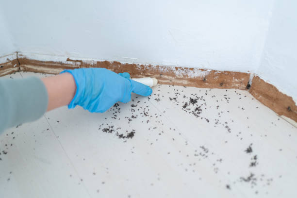 Best Pest Removal Services  in Gridley, CA